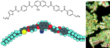 Graphical abstract: The effect of a thiophene ring in the outer position on mesomorphic properties of the bent-shaped liquid crystals