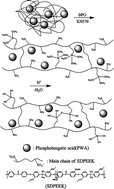 Graphical abstract: Crosslinked hybrid membranes based on sulfonated poly(ether ether ketone)/γ-methacryloxypropyltrimethoxysilane/phosphotungstic acid by an in situ sol–gel process for direct methanol fuel cells