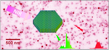 Graphical abstract: Layer-by-layer assembly of freestanding thin films with homogeneously distributed upconversion nanocrystals