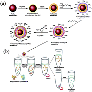 Graphical abstract: Synthesis of magnetic nanoparticles with immobilized aminophenylboronic acid for selective capture of glycoproteins