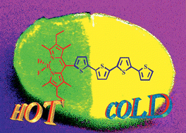 Graphical abstract: Thermoresponsive fluorescent polymers based on a quaterthiophene-containing boron dipyrromethene (Bodipy) dyad dispersed in silicone rubber