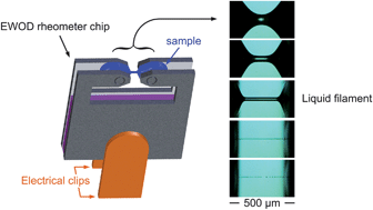 A miniature capillary breakup extensional rheometer by ...