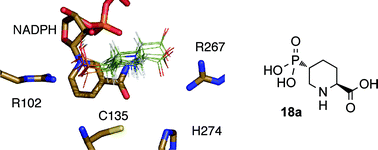 Graphical abstract: Synthesis and evaluation of conformationally restricted inhibitors of aspartate semialdehyde dehydrogenase