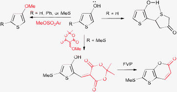 Graphical abstract: Chemical and spectroscopic properties of the 3-hydroxythiophene [thiophen-3(2H)-one] system