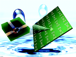 Graphical abstract: Electrochemistry in nanoscopic volumes