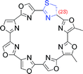 Graphical abstract: (S)-Stereoisomer of telomestatin as a potent G-quadruplex binder and telomerase inhibitor