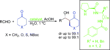 Graphical abstract: Highly diastereo- and enantioselective direct Barbas–List aldol reactions promoted by novel benzamidoethyl and benzamidopropyl prolinamides in water