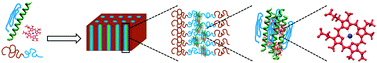 Graphical abstract: Directed co-assembly of heme proteins with amphiphilic block copolymers toward functional biomolecular materials