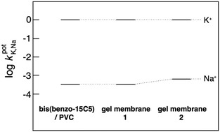 Graphical abstract: Remarkable potassium selectivity of ion sensors based on supramolecular gel membranes made from low-molecular-weight gelators without any ionophore