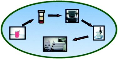 Graphical abstract: A multiclass method for endocrine disrupting chemical residue analysis in human placental tissue samples by UHPLC–MS/MS