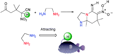 Graphical abstract: Bicyclization involving pseudo-intramolecular imination with diamines