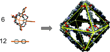 Graphical abstract: Rational design of a nanometre-sized covalent octahedron