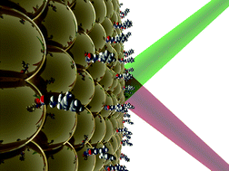 Graphical abstract: Plasmonically active micron-sized beads for integrated solid-phase synthesis and label-free SERS analysis