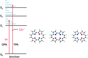 Graphical abstract: Two-photon absorption in porphycenic macrocycles: the effect of tuning the core aromatic electronic structure