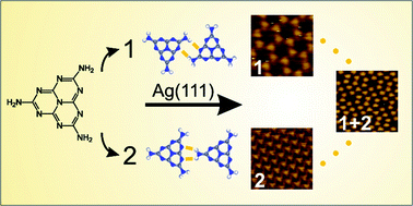 Graphical abstract: Self-assembly of melem on Ag(111)—emergence of porous structures based on amino-heptazine hydrogen bonds