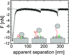 Graphical abstract: Interactions of adsorbed poly(ethylene oxide) mushrooms with a bare silica–ionic liquid interface