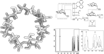 Graphical abstract: Molecular dynamics studies of native and substituted cyclodextrins in different media: 1. Charge derivation and force field performances