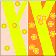 Graphical abstract: Reply to Comment on “Multimodal coupling of optical transitions and plasmonic oscillations in rhodamine B modified gold nanoparticles” by I. Blakey