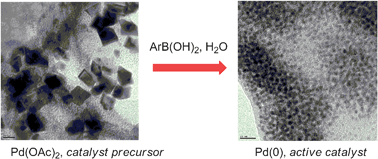 Speciation of Pd(OAc)2 in ligandless Suzuki–Miyaura reactions†,10.1039 ...