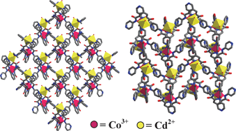 Graphical abstract: Two-dimensional {Co3+–Zn2+} and {Co3+–Cd2+} networks and their applications in heterogeneous and solvent-free ring opening reactions