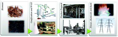 Graphical abstract: Design and development of catalysts for Biomass-To-Liquid-Fischer–Tropsch (BTL-FT) processes for biofuels production