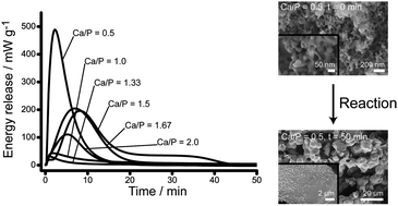 Graphical abstract: Reactivity of calcium phosphate nanoparticles prepared by flame spray synthesis as precursors for calcium phosphate cements