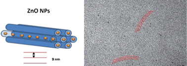 Graphical abstract: Facile direct synthesis of ZnO nanoparticles within lyotropic liquid crystals: towards organized hybrid materials