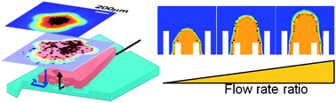 Graphical abstract: Development and characterization of a microfluidic chamber incorporating fluid ports with active suction for localized chemical stimulation of brain slices