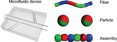 Graphical abstract: Microfluidic fabrication of microengineered hydrogels and their application in tissue engineering