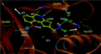 Graphical abstract: Discovery and characterization of novel potent PARP-1 inhibitors endowed with neuroprotective properties: From TIQ-A to HYDAMTIQ
