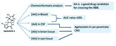 Graphical abstract: Pharmacokinetics of Agelastatin A in the central nervous system