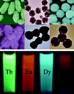 Graphical abstract: Size and shape controllable synthesis and luminescent properties of BaGdF5:Ce3+/Ln3+ (Ln = Sm, Dy, Eu, Tb) nano/submicrocrystals by a facile hydrothermal process