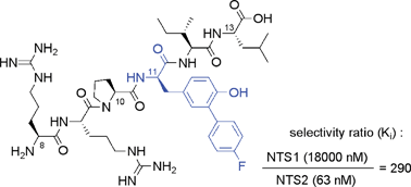 Graphical abstract: Radical arylation of tyrosine and its application in the synthesis of a highly selective neurotensin receptor 2 ligand