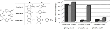Graphical abstract: Mechanisms of photodynamic inactivation of a Gram-negative recombinant bioluminescent bacterium by cationic porphyrins
