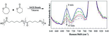 Graphical abstract: In situ monitoring of enzyme-catalyzed (co)polymerizations by Raman spectroscopy