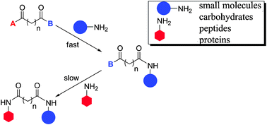 Graphical abstract: Mixed pentafluorophenyl and o-fluorophenyl esters of aliphatic dicarboxylic acids: efficient tools for peptide and protein conjugation