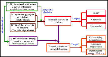 Graphical abstract: The pyrolytic behavior of cellulose in lignocellulosic biomass: a review