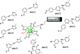 Graphical abstract: Responsive imaging probes for metabotropic glutamate receptors