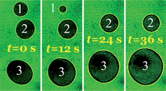 Graphical abstract: Twist disclination loops in a bent-core nematic liquid crystal