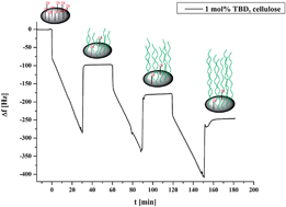 Graphical abstract: Surface-initiated ring-opening polymerization from cellulose model surfaces monitored by a Quartz Crystal Microbalance