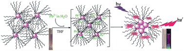 Graphical abstract: A dual sensor of fluorescent and colorimetric for the rapid detection of lead