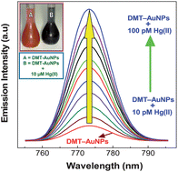 Graphical abstract: Mercaptothiadiazole capped gold nanoparticles as fluorophore for the determination of nanomolar mercury(ii) in aqueous solution in the presence of 50 000-fold major interferents