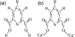 Graphical abstract: Analysis of the Raman spectra of Ca2+-dipicolinic acid alone and in the bacterial spore core in both aqueous and dehydrated environments