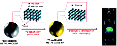 Graphical abstract: Tracing nanoparticles in vivo: a new general synthesis of positron emitting metal oxide nanoparticles by proton beam activation