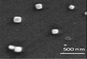 Graphical abstract: Direct electron transfer of ferritin on electrodeposited nickel oxide cubic nanoparticles