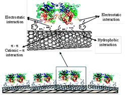 Graphical abstract: A nanocomposite based biosensor for cholesterol determination