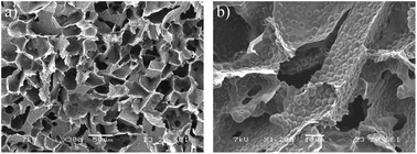 Graphical abstract: Evaluation of macroporous blood and plasma scaffolds for skeletal muscle tissue engineering