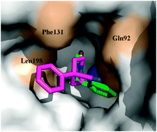 Graphical abstract: Dithiocarbamates: a new class of carbonic anhydrase inhibitors. Crystallographic and kinetic investigations