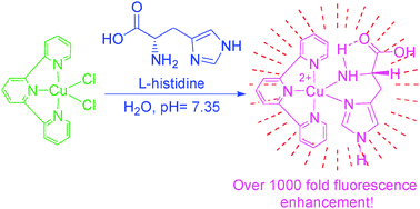 Graphical abstract: A simple and efficient fluorescent sensor for histidine