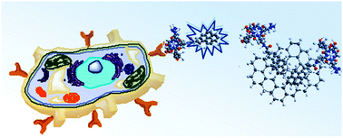 Graphical abstract: A nanoscale graphene oxide–peptide biosensor for real-time specific biomarker detection on the cell surface